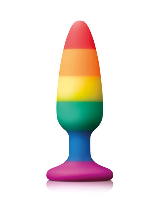 Pride Pleasure Plug Rainbow Medium