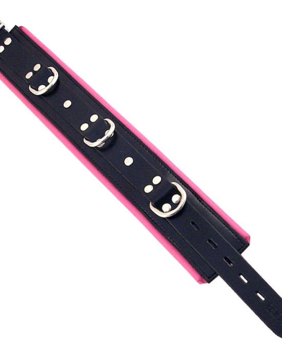 Rouge Garments Black And Pink Padded Collar